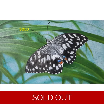 Butterfly - Sold